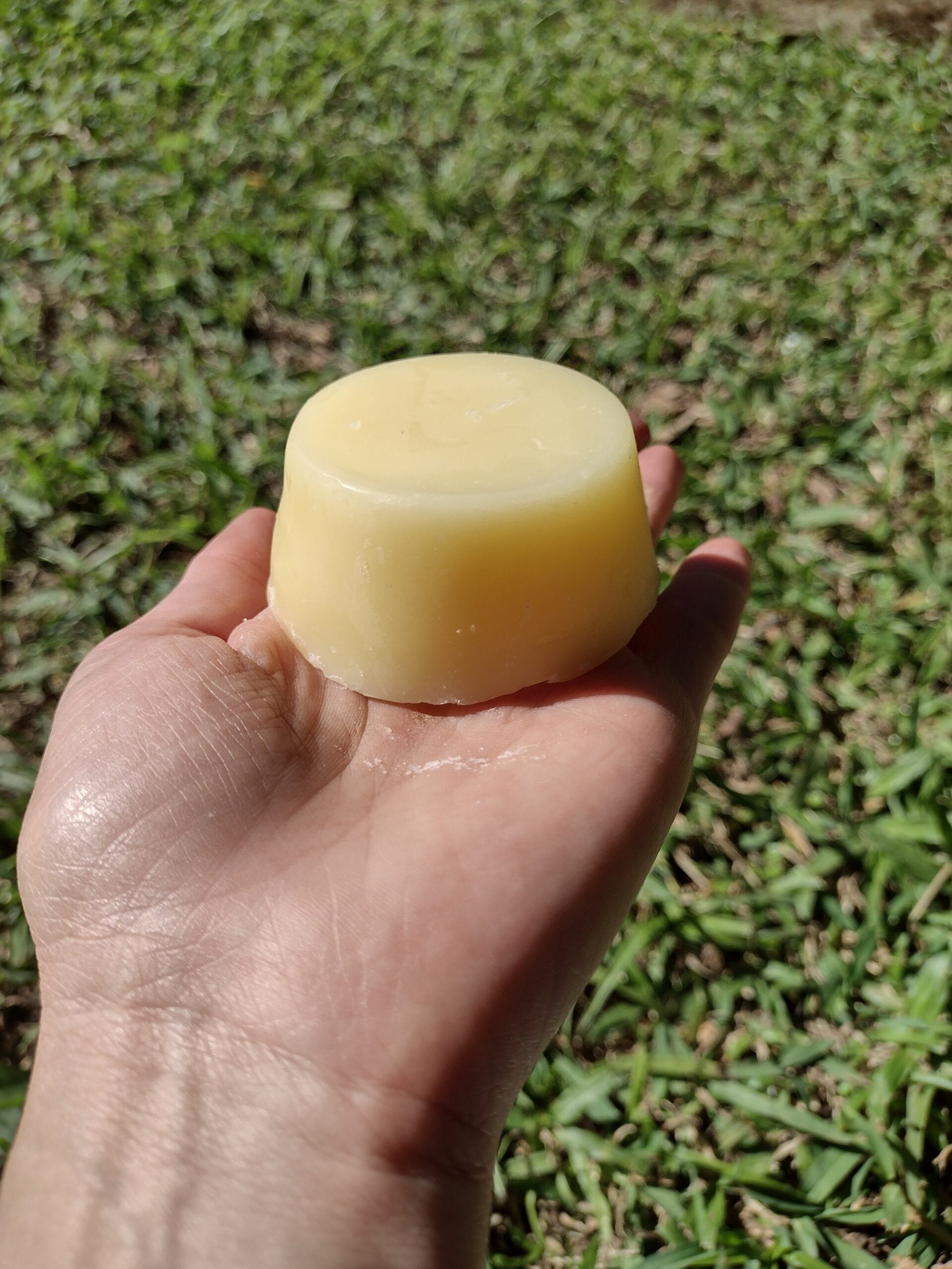 PORANG- Ativador de Cachos Sólido (55g) - Imagem 3